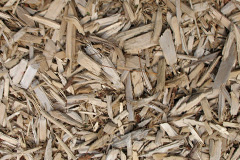 biomass boilers Aldclune